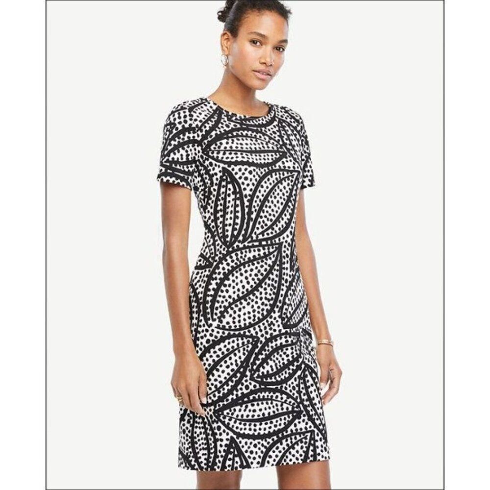 Ann Taylor Cheetah Leaf Shift Dress Size 2 Polyester/Spandex NWOT, Black/white